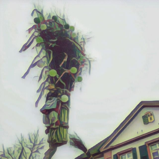 Narrenbaum vor Rathaus