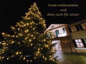 Weihnachtsgruß 2025